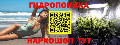 МДПВ Камышлов