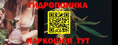 мяу мяу мука Кандалакша