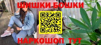 МДПВ Камышлов