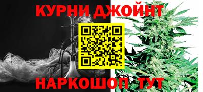мяу мяу мука Кандалакша