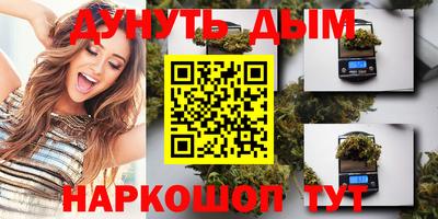 мяу мяу мука Кандалакша