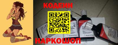 МДПВ Камышлов