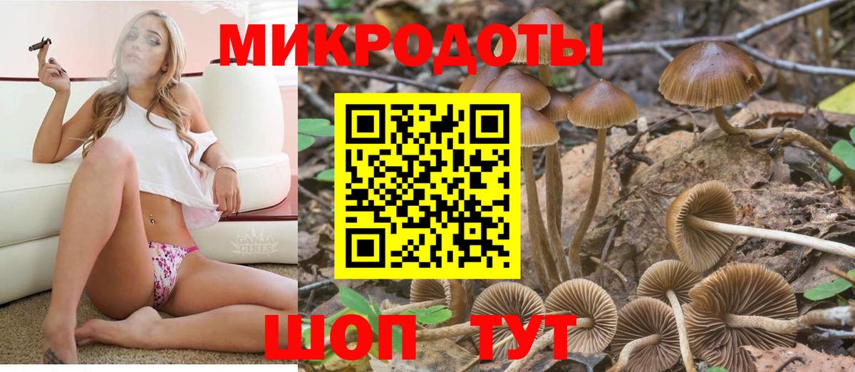 Сыктывкар  Галлюциногенные грибы мухоморы  Вход с VPN 
