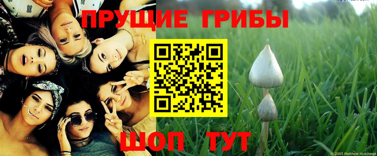 Галлюциногенные грибы GOLDEN TEACHER Сыктывкар